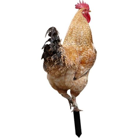 Statue de poule décorative en acrylique, ornement réaliste pour jardin ou cour.-Style A (1/5)