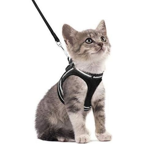 Arnés transpirable para gatos con correa negra ajustable, tiras reflectantes, cómodo para gatitos, fácil de poner. (1/4)