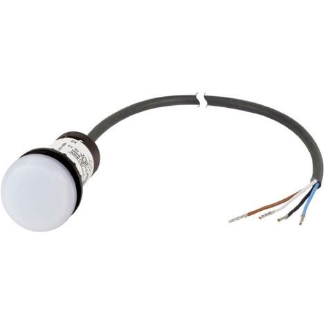 Eaton C22-L-W-24-P62 Voyant lumineux plat blanc 24 V DC/AC 1 pc(s) S270761 (1/3)