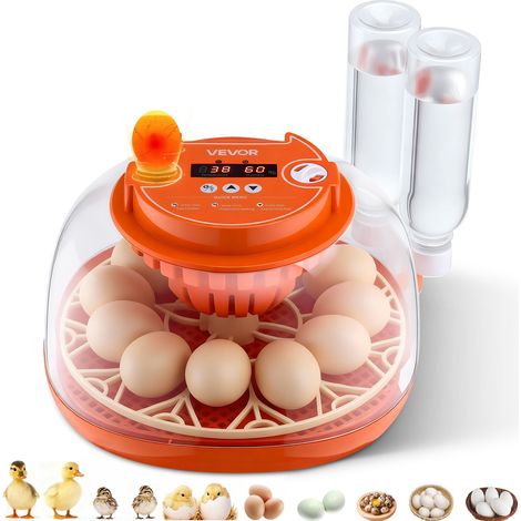 Couveuse Œuf Automatique 12 Œufs de Poule Incubateur Œuf pour Éclosion Œufs de Volaille Poussins Canetons Oies Cailles, avec Mire LED Contrôle Température et Humidité Fenêtre Transparente 360° (1/5)