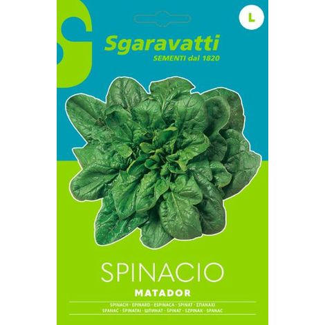 Semi per Ortaggi e Vegetali Spinacio Matador Sgaravatti 10 Pezzi
