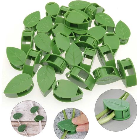 20 pièces Invisible plante escalade fixation murale rotin vigne Support fixe boucle feuille Clips Traction support jardin plante Support (1/5)
