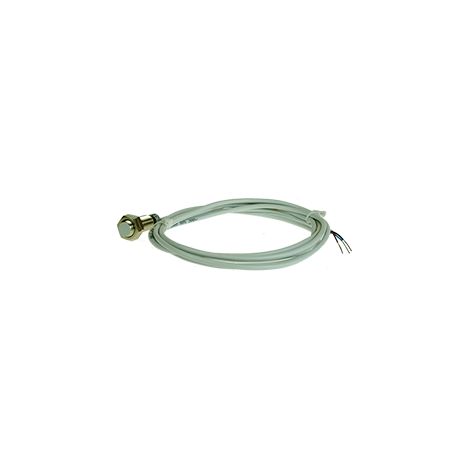 Detecteur inductif M12, 24 VDC 3 fils, 2 mm, NO, PNP, noyable, Cable 2m ref: PB1