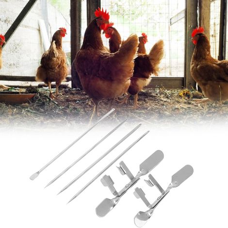 Kit d'écloserie de 10 outils en acier inoxydable pour l'élevage de poulets, poules, coqs et chapons (1/5)