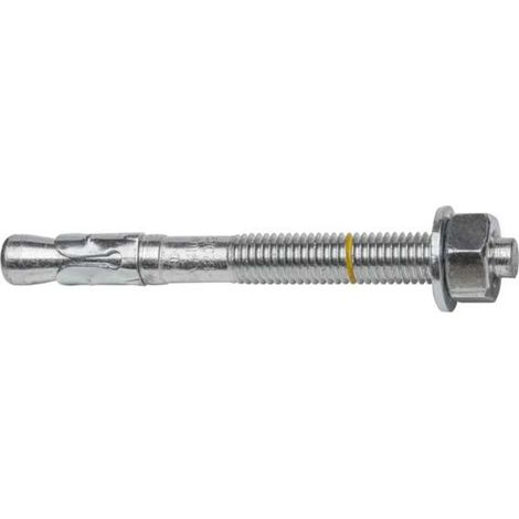 Celo Cheville d'ancrage métal galvanisé 10 mm 40 pièces (1/4)