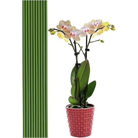 20 tiges de support pour plantes vertes de 40 cm - Pour jardin, maison, jardinage, fabrication de trépieds