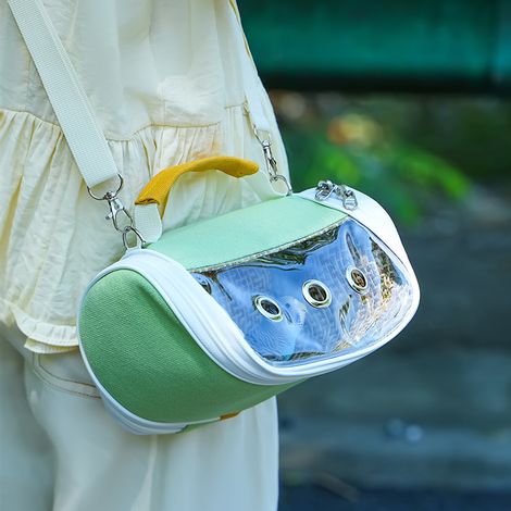 Sac de transport portable pour oiseaux - Cage de transport transparente et respirante pour petits perroquets, sac de transport pliable et léger avec poche latérale (vert) (1/3)