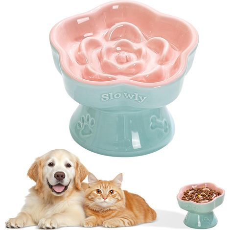 Gamelle surélevée anti-glouton en céramique pour chat, bol de nourriture lent pour petit chien, digestion saine (1/5)