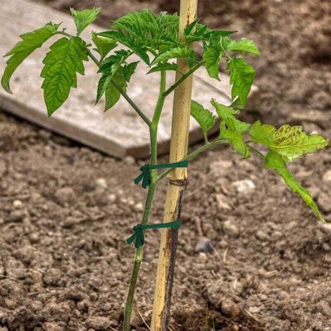 30 metri/98 piedi di spago verde da giardino per legare piante da giardino, legaccio per alberi, legaccio espandibile per piante (1 rotolo) (1/3)