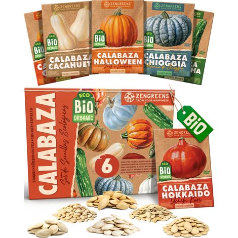 Semillas de calabaza eco set 6 variedades de polinización libre (1/5)