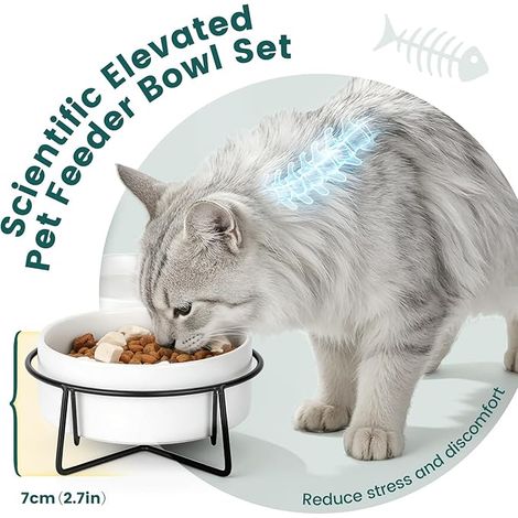 Bol à chat double en céramique 2x400ml avec support en métal bol à chat anti - retournement pour nourriture et eau pour chat, blanc (1/5)