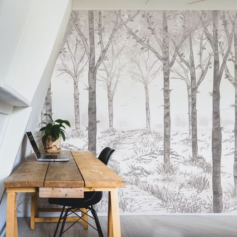 Papier peint panoramique Paysage forêt de bouleau, Gris 150 x 250cm (1/5)