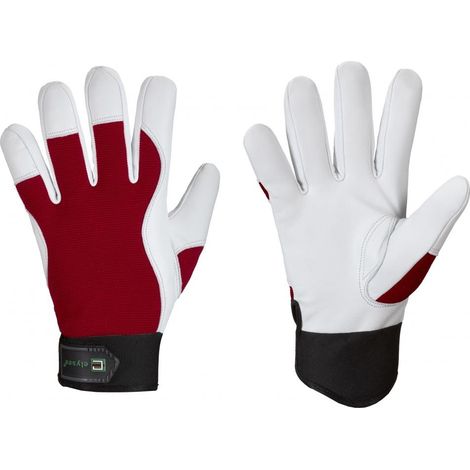 CARVER ELYSEE® Handschuhe Größe 9 (1/2)
