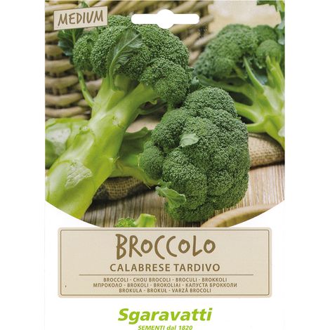 SEMI PER ORTAGGI E VEGETALI broccolo ramoso calabrese tardivo Q.TA 20 broccolo ramoso calabrese tardivo