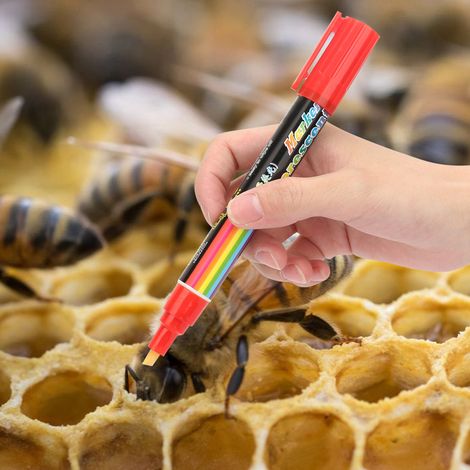 Hochwertiger Bienenköniginnen-Marker aus Kunststoff, Malwerkzeug für die Imkerei, 8 Farben (Rot) (1/5)