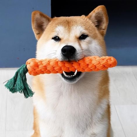 Jouet Chien Carotte 23cm Jouet à Mâcher Résistant en Corde Coton Jouet Chiot Chien Grande Taille Dents Propres (1/5)