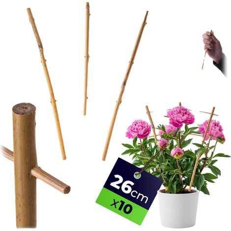 Support en Échelle en Bambou, Hauteur de 26 cm, 10 Pièces, Convient pour Soutenir les Plantes, Décoration Naturelle, Améliore la Croissance des Plantes (1/5)