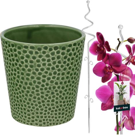 KOTARBAU® Juego de maceta verde de 11 cm con soporte transparente de 58 cm para flores, maceta de cerámica, juego de soportes de plástico para plantas para orquídeas