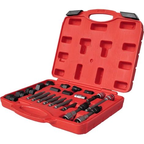 Kit de Démontage de Poulie d'Alternateur Roue Libre Coffret Douilles et Embouts 22 Pièces (1/5)