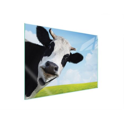 PLACA PROTECTORA DE VIDRIO PARA ESTUFA 70x52 VACA (1/5)