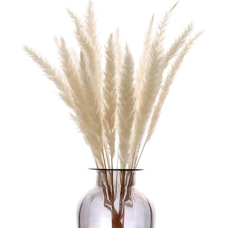 MINKUROW Totora Seca 30 Piezas, Bcc 55cm Ramo De Totora Seca Natural Florero Artificial Decorativo Rama De Árbol Planta Bohemia Hogar Balcón Cocina Salón Mesa Boda, Blanco (1/5)