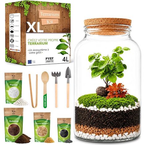DIY Kit Terrarium Plante XL Verre 4L - Terrarium Verre - Kit DIY A Faire Pousser Jardin - ( (1/5)