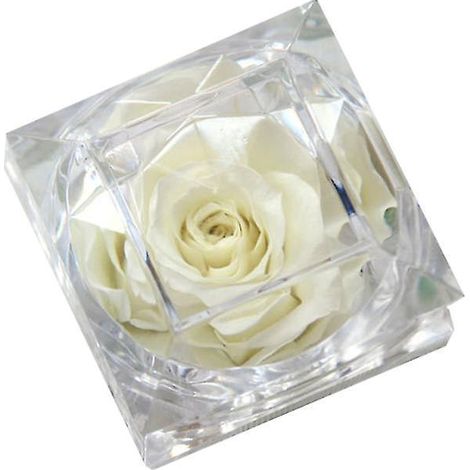 Nouvelle fleur fraîche préservée (1 pièce) (1/3)