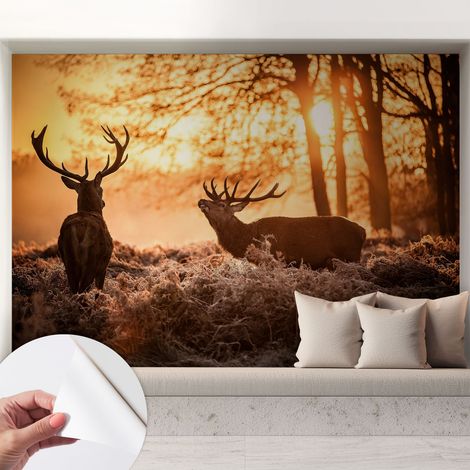Selbstklebende Tapete modern Wohnzimmer - Wanddeko Schlafzimmer - Tapete mit Motiv Rehe am Morgen 208x146 cm (1/5)
