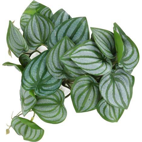 Feuilles de Plantes Artificielles en Soie pour Aquarium, Décoration Réaliste avec Ventouse, Branche d'arbre pour Crabe Hermite, Accessoire pour Terrarium de Récif (1/5)