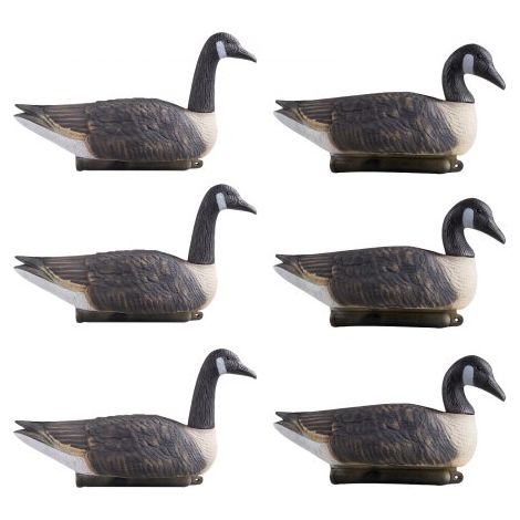 Señuelos de Ganso Canadiense a Caza de Aves Acuáticas al Aire Libre, Flotadores de Plástico Duraderos con Pintura Ultra Realista, para Piscinas, Estanques, Lagos, 6 uds, 570 x 200 x 330 mm (1/5)