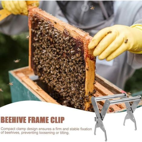 Pince de Cadre de Ruche D'abeilles,Pince de Capture de Cadre de Ruche en Acier Inoxydable,Outil de Levage Cadre pour Apiculteurs,É (1/5)