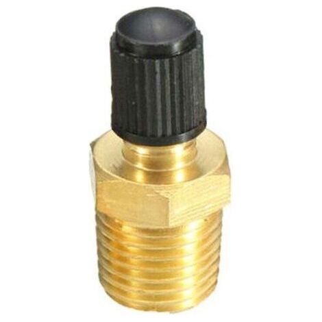 1/4\" Npt Tank Valve Anti-corrosion Brass Schrader Valve With 1/4\" Male Npt (1/5)