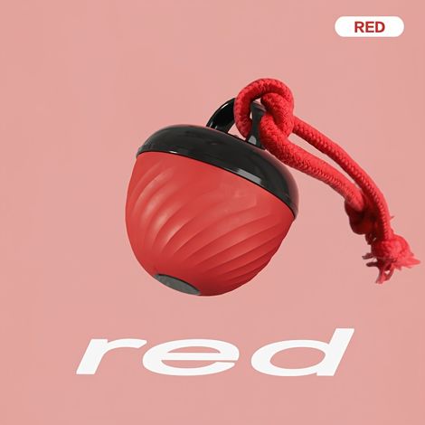 1 balle interactive intelligente pour chien, balle de sport résistante aux morsures, chargement USB, balle mobile avec cordelette et lumière d (1/5)