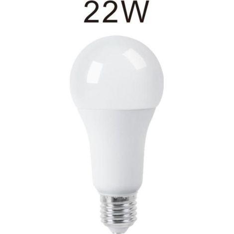 Lampadina Led 22W Luce Fredda E27 A65L Bulbo Bianco Opaco (1/5)