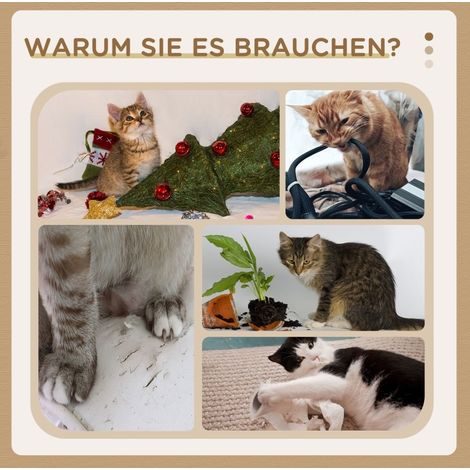 Arbre à chat naturel pour chatons avec jouets interactifs, 35 x 23 x 40 cm (1/5)