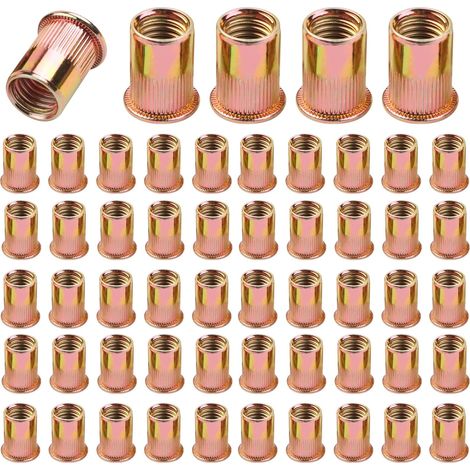 100 Pièces Écrou à Rivet M6 Fileté à Tête Plate, Écrous à Riveter Fileté à Tête, Insert Fileté à Tête Plate En Acier Carbone Zinc, Pour La Fixation De Meubles, Adapté à l'Acier, Au Plastique (1/5)