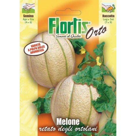 MELONE RETATO