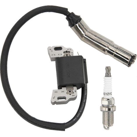 Induit magnétique 595304 pour moteur Briggs & Stratton 17 CV 20 CV OHV - Troy-Bilt Craftsman (1/5)
