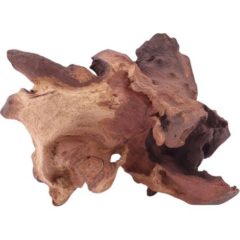 M Mopani Wurzel Nr.4798 Holz Deko Aquascaping