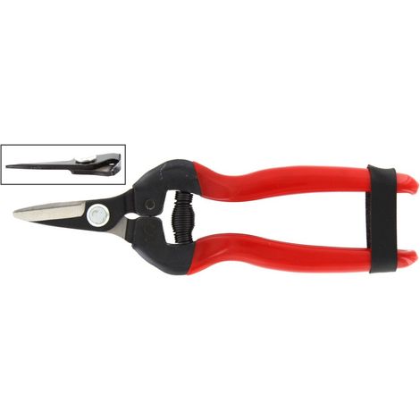1PZ FORBICI PER UVA LAME DRITTE CORTE RIF.21095 (1/2)