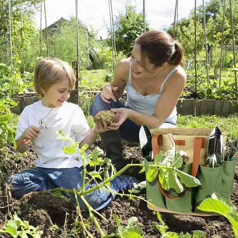 Ensemble d'Outils de Jardinage, 10 Pièces en Acier Inoxydable à Usage intensif avec poignée en Bois antidérapante - Cadeaux pour Les Femmes et Les Hommes, Vert