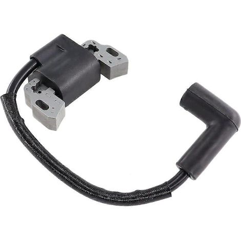 Bobine d'allumage pour moteurs Briggs & Stratton 799582, 798534, 593872, 595009, 596532 et tondeuses à gazon 08P502, 09P602 et 09P702 (1/5)