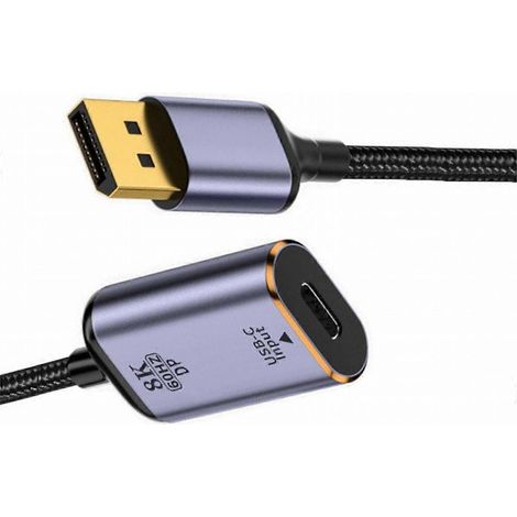 Adaptateur USB-C vers DisplayPort : convertisseur USB-C femelle vers DisplayPort 1.4 (sortie), câble HDTV 8K à 60 Hz pour tablette (1/5)