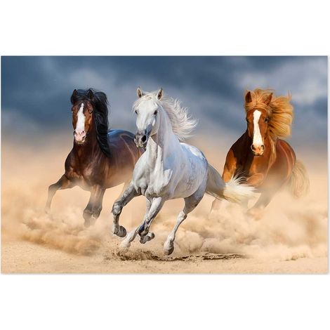 Affiche Trio équin - 60x40cm - made in France (1/5)