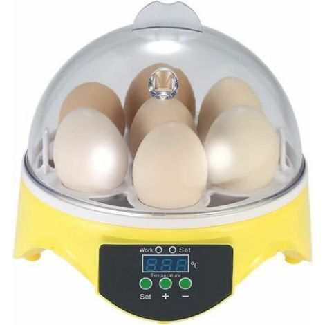 Incubateur automatique, capacité de 7 œufs, pour œufs de volaille, 15 cm, 15,5 x 15,5 x 15 cm, pour l'incubation à domicile et l'élevage contrôlé de volailles.-AquaForge (1/4)