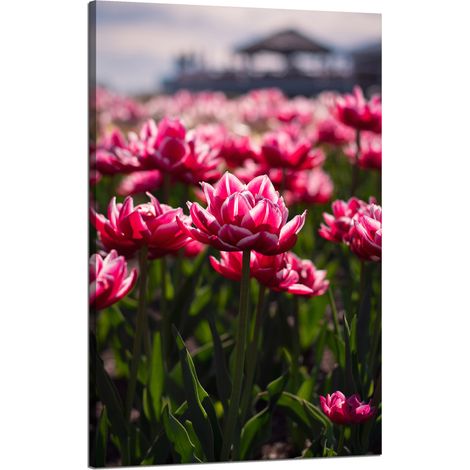 Stampa su tela con tema botanico: tulipani, fiori, 50x80 cm, bouquet di fiori