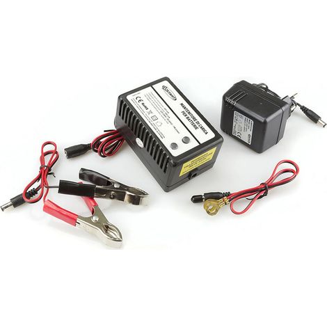 Mantenitore di carica per batterie 12V alimentazone AC 220