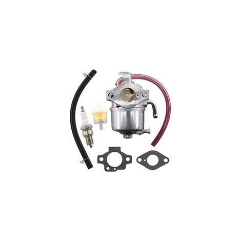 Carburateur Joint Filtre à Essence et Bougie d'Allumage pour Moteur 4 Temps Tondeuse à Gazon (1/4)