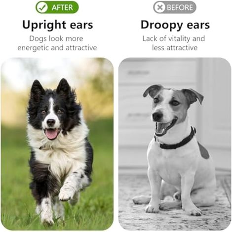 Lot de 3 paires d'érecteur d'oreille pour animal de compagnie - Accessoire pour chiot - Support d'oreille pour chien - Outils de fixation d'oreille - Autocollants Shepherd Outdoor Doberman - (1/5)