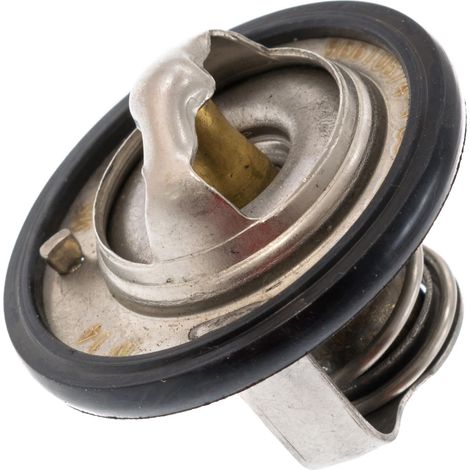 Termostato Daewoo Matiz Daewoo Kalos (1/2)
